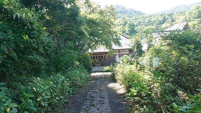 薬王寺,見どころ,ながまつ・西源寺Jr.