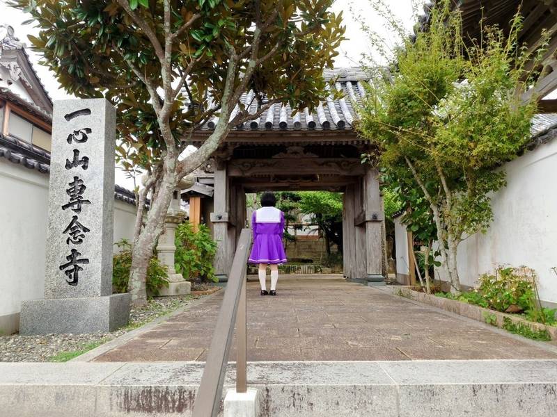 専念寺,長崎県南松浦郡新上五島町有川郷889