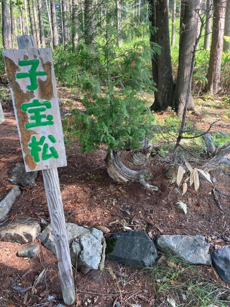 子宝神社,北海道空知郡南富良野町東鹿越