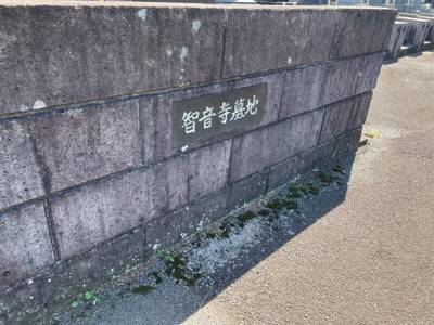 智音神社,見どころ,you