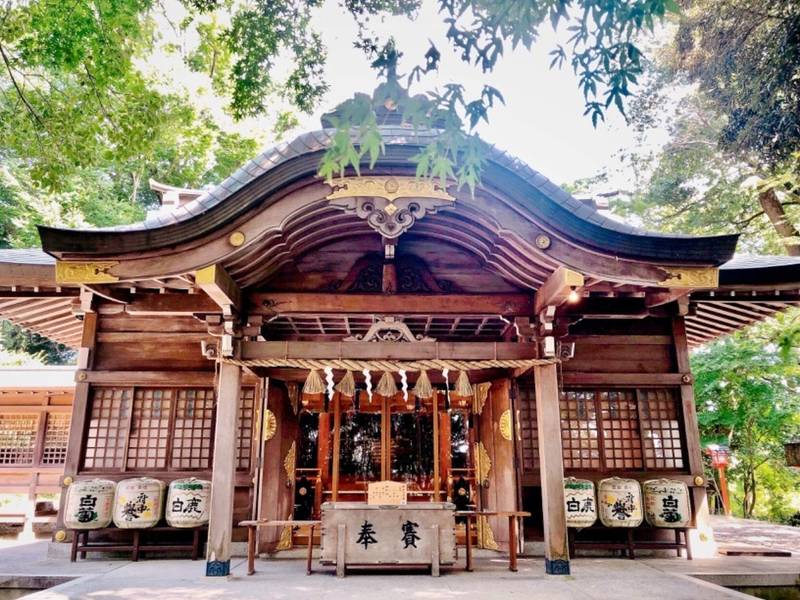 常陸國總社宮   (常陸国総社宮)の見どころ