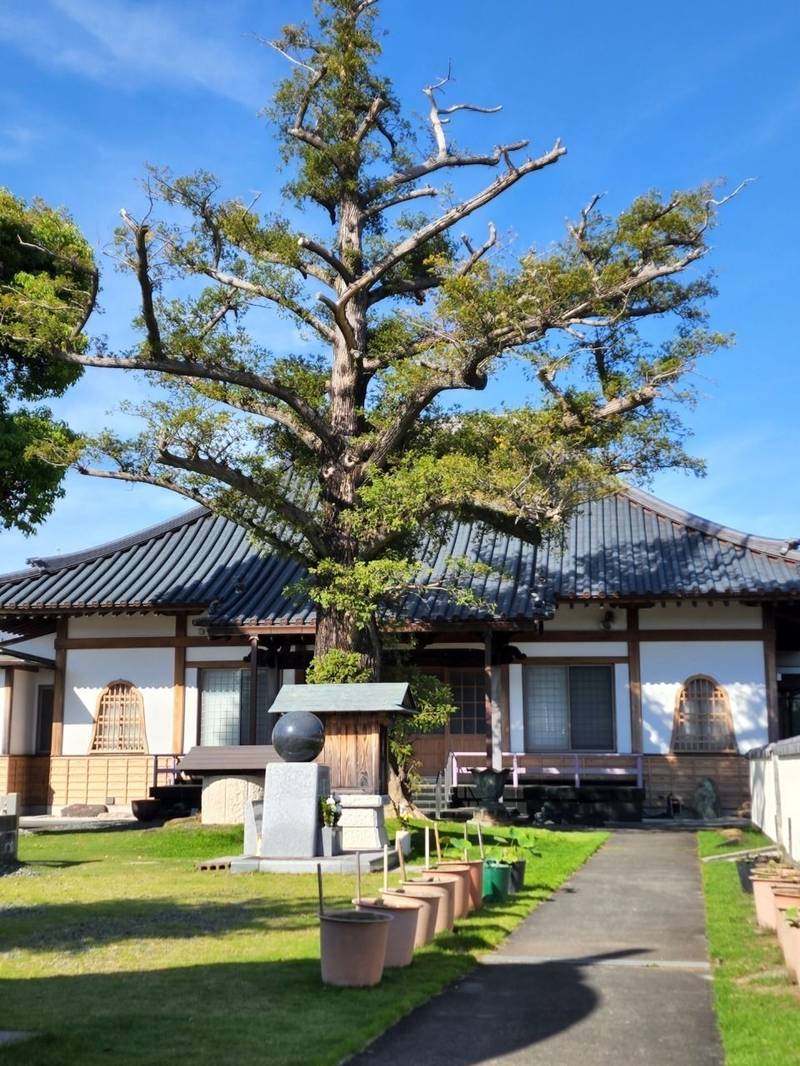 鳳林寺,静岡県静岡市清水区中之郷1-10-23