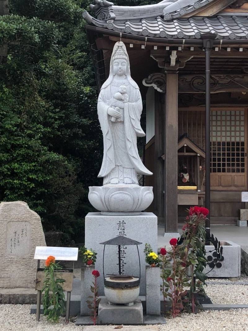 洞雲院 知多郡阿久比町 愛知県 の見どころ 洞雲院 By Melody Omairi おまいり