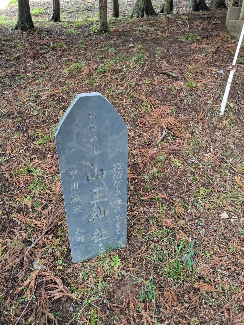 山王神社,山梨県南巨摩郡富士川町鰍沢２１５７