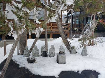 法華寺,見どころ,杏柊
