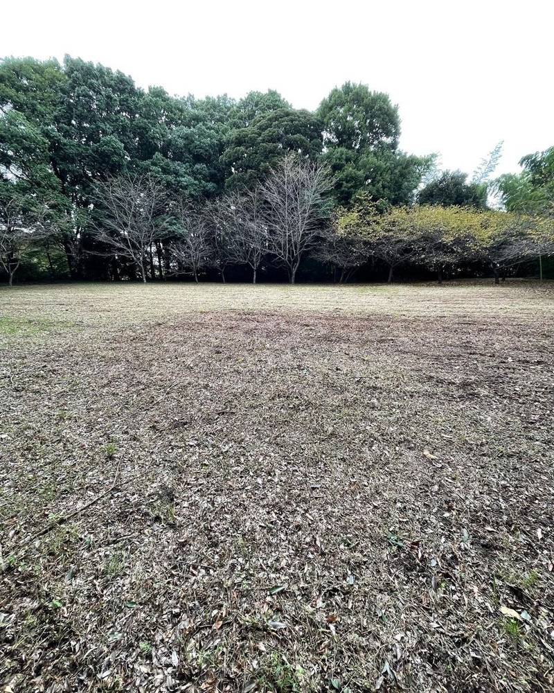 高井城,茨城県取手市下高井1437