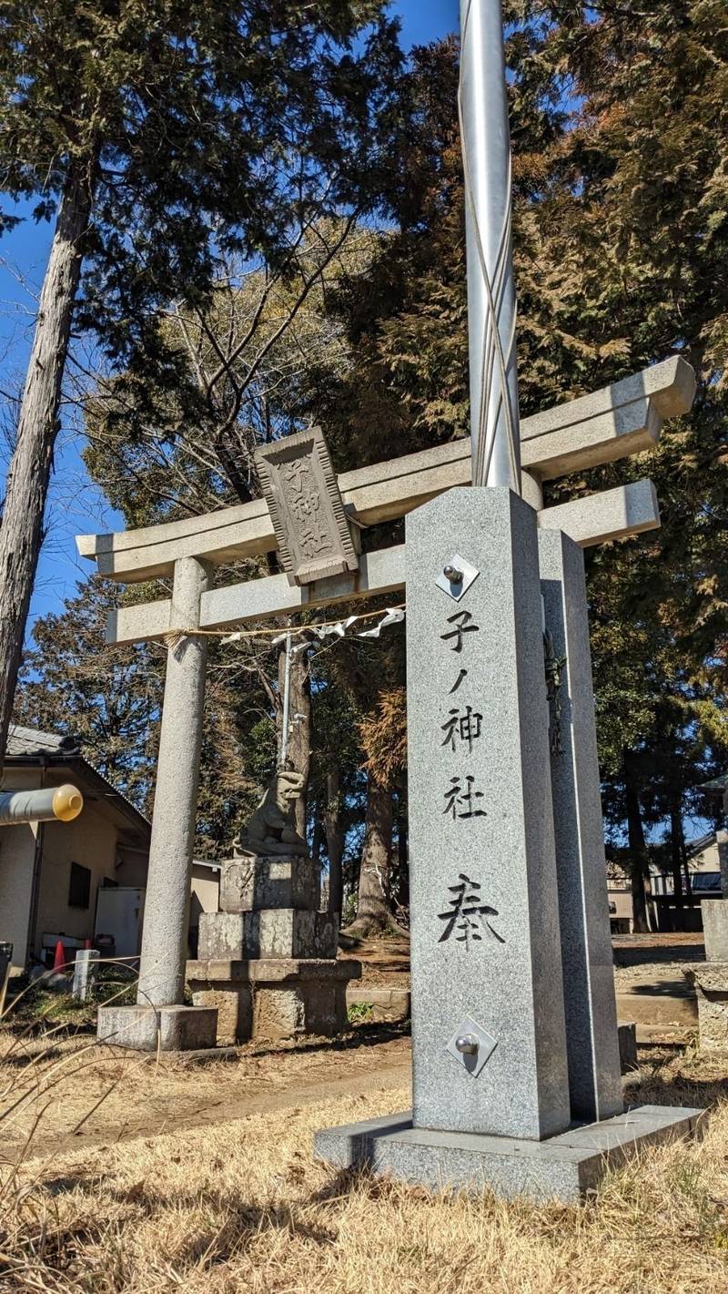 早野子ノ神社,神奈川県川崎市麻生区早野65