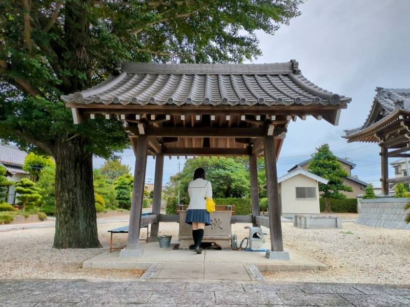 医王寺,愛知県豊川市篠束町郷中９８-１