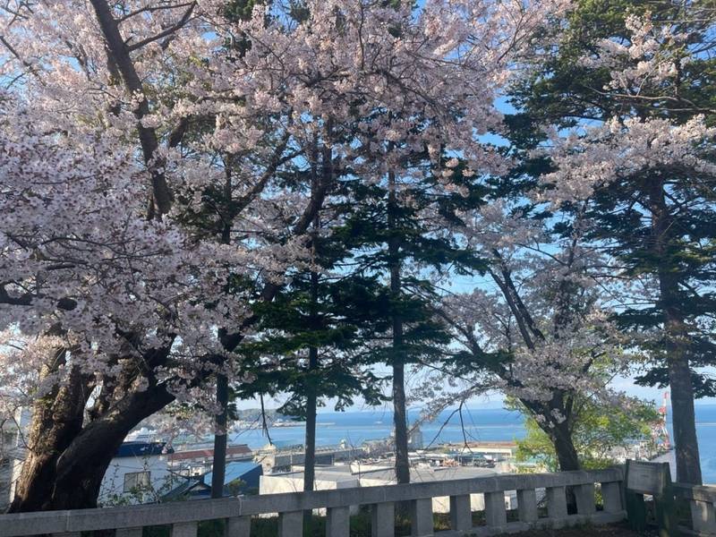 小樽水天宮,北海道小樽市相生町3番1号