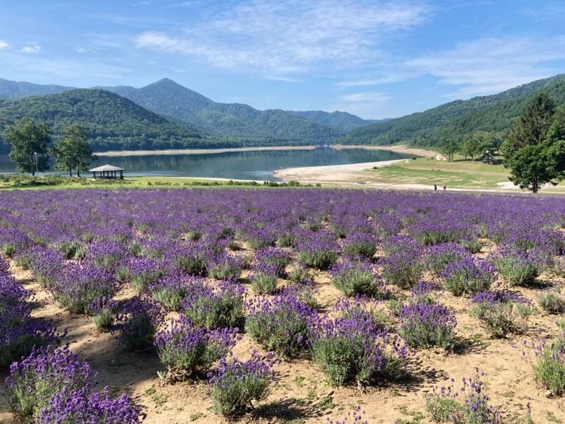 子宝神社,北海道空知郡南富良野町東鹿越