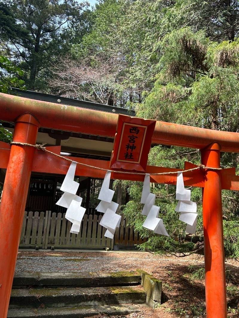 西宮神社,栃木県栃木市岩舟町小野寺4697