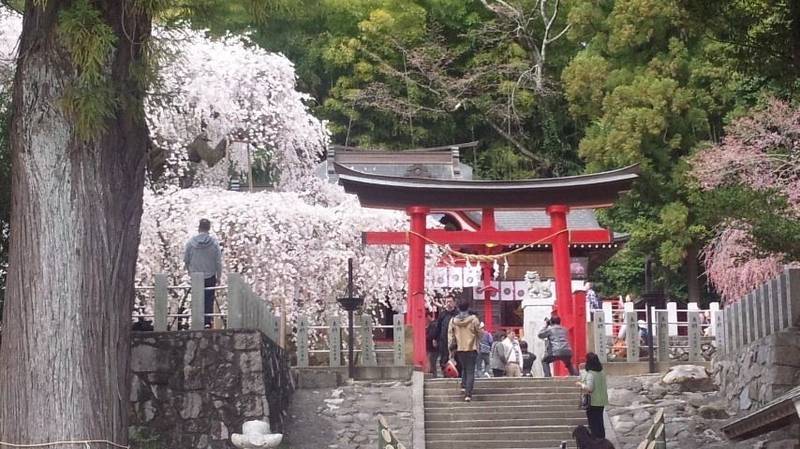 小川諏訪神社 御朱印 いわき市 福島県 Omairi おまいり