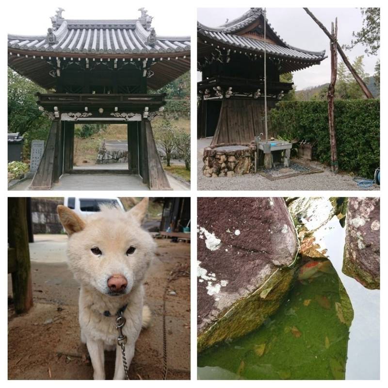 阿弥陀寺,香川県さぬき市大川町田面１１８６