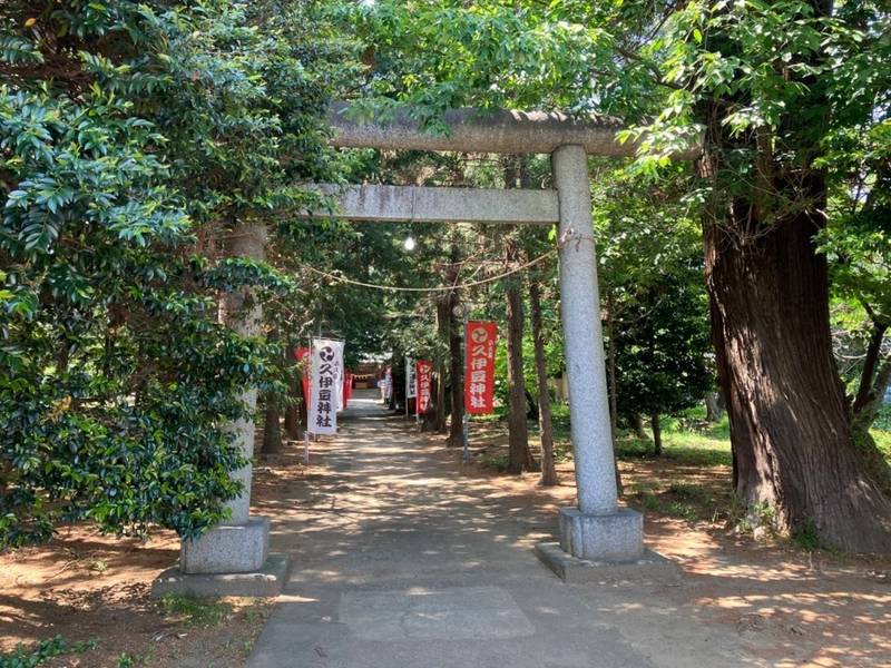 小久喜久伊豆神社,埼玉県白岡市小久喜2