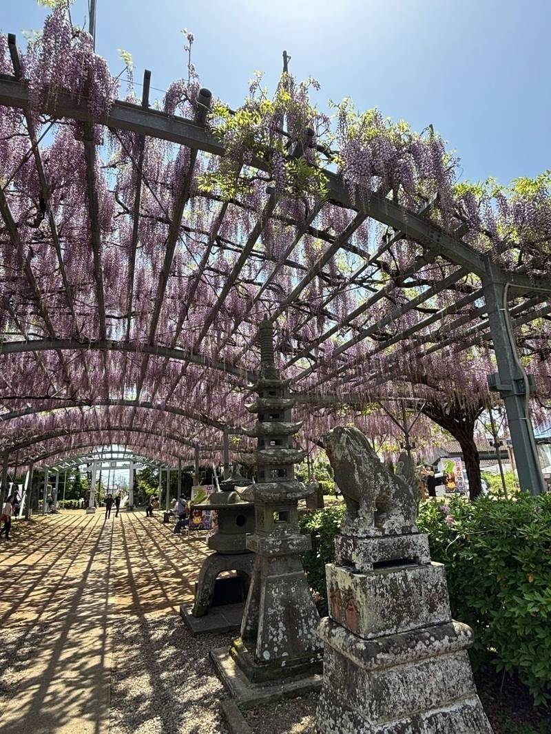 日吉神社  (玉名市山田),熊本県玉名市山田1番地