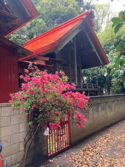 神明神社     (飯山満),見どころ,船橋大明神