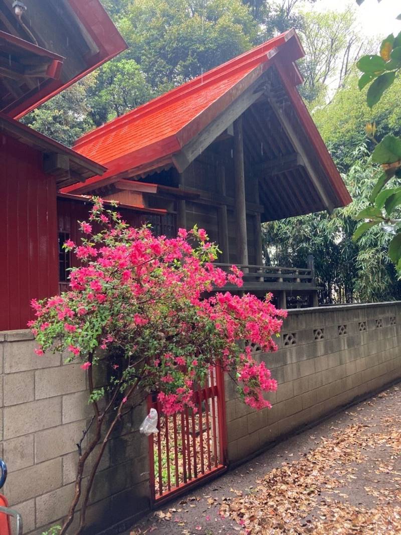 神明神社     (飯山満),千葉県船橋市飯山満町1-639