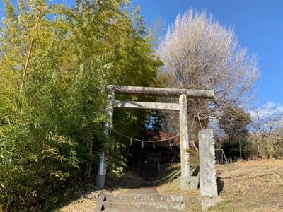 八雲神社   (天王),見どころ,GT23