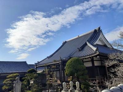 極楽寺,見どころ,ボブ