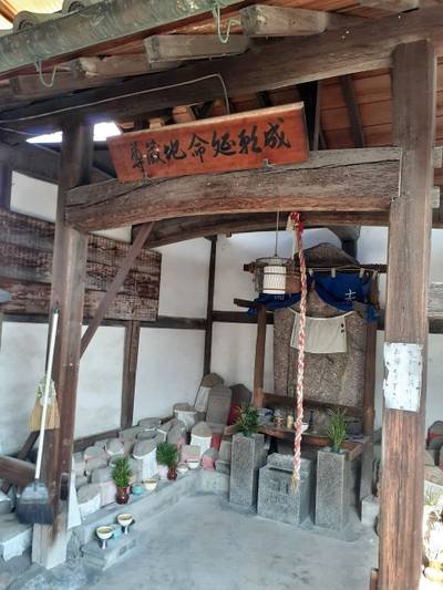 極楽寺,見どころ,ボブ