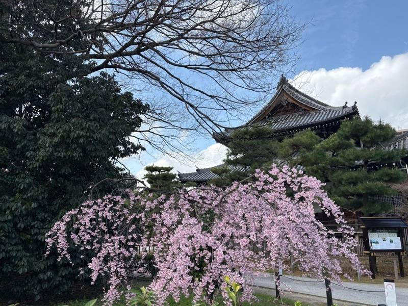 浄福寺,京都府京都市上京区笹屋町二丁目６０１