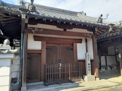 極楽寺,見どころ,ボブ