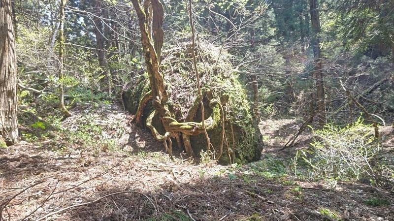 岩円地蔵,山形県最上郡金山町下野明