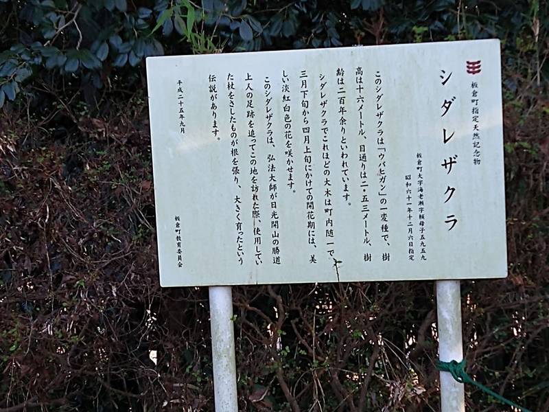 頼母子薬師堂,群馬県邑楽郡板倉町海老瀬5959-1