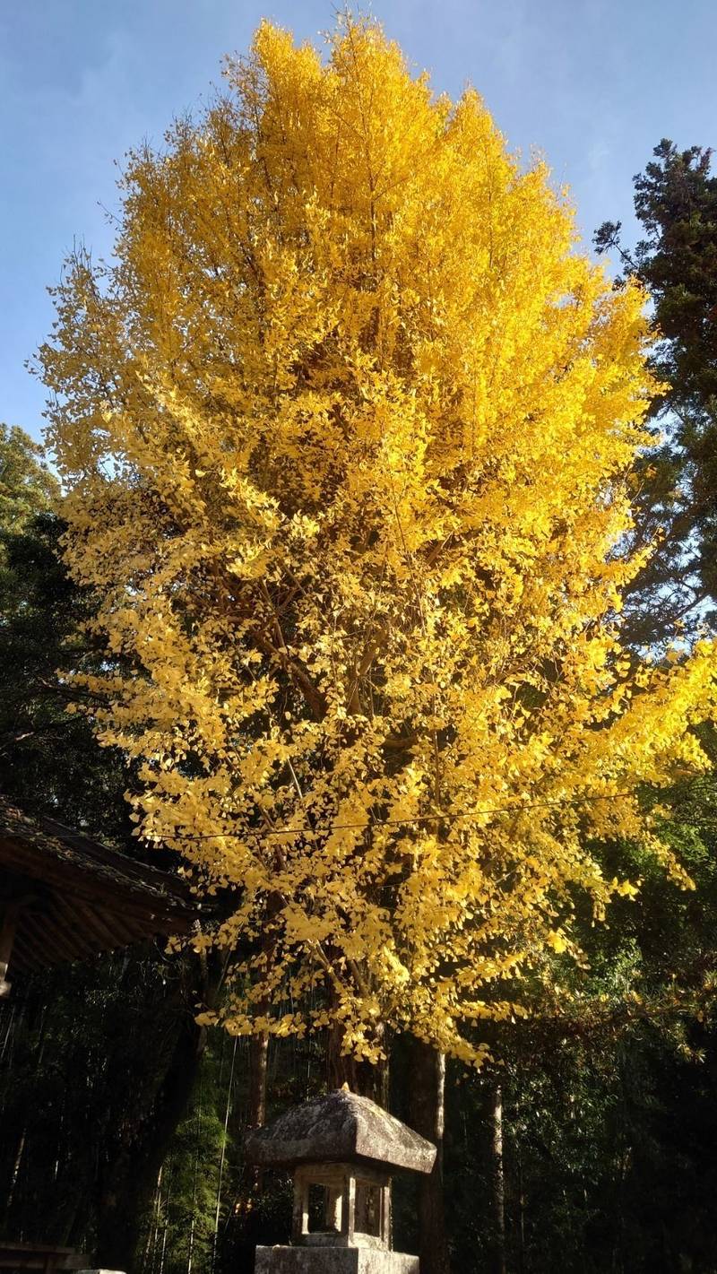 高水神社,山口県周南市大字清尾303番