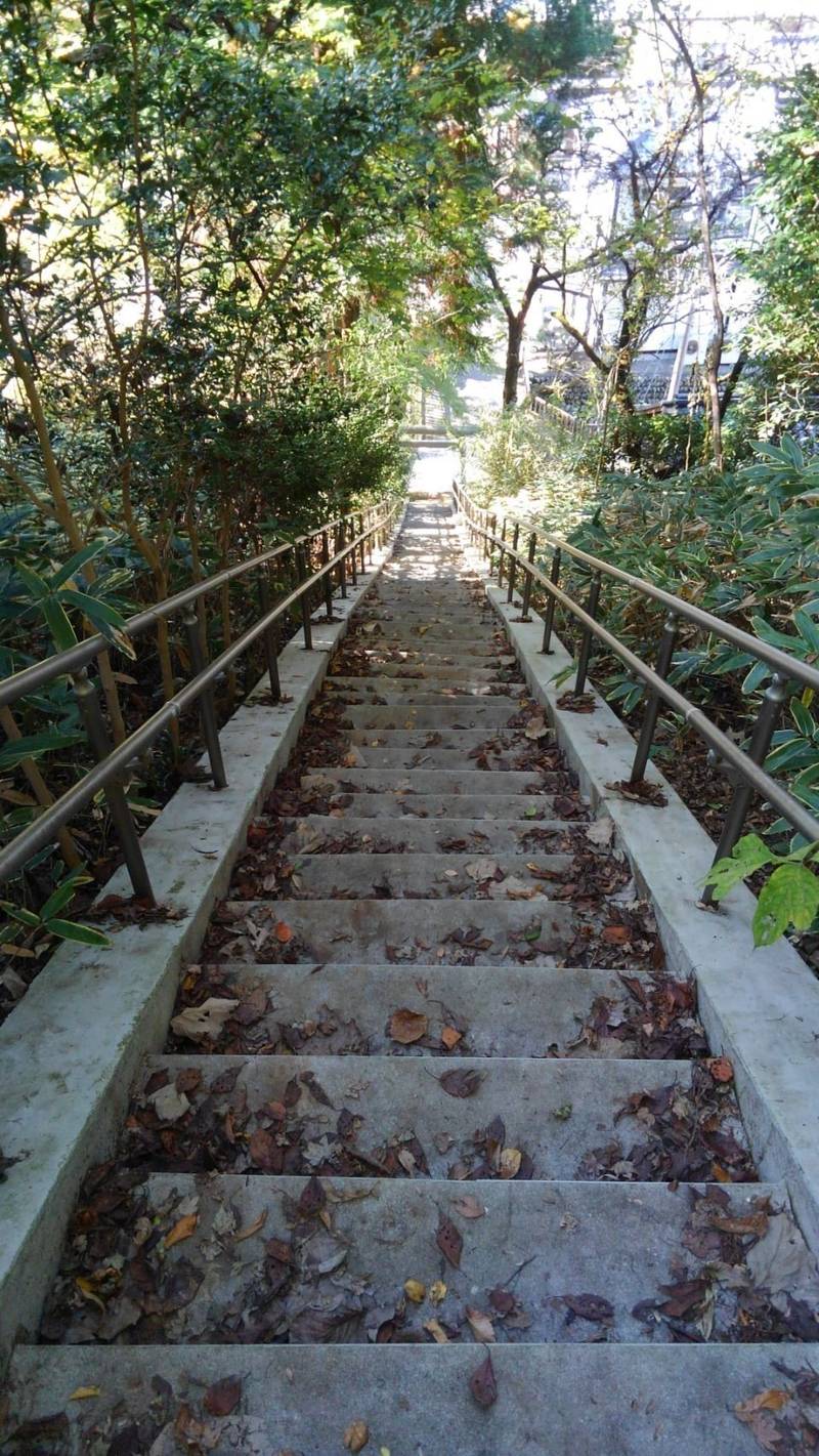 山王神社,東京都八王子市初沢町１４２５