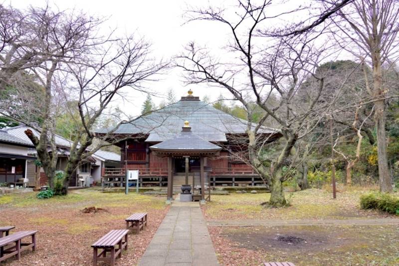 東光院     (峰の薬師),千葉県木更津市桜井1450