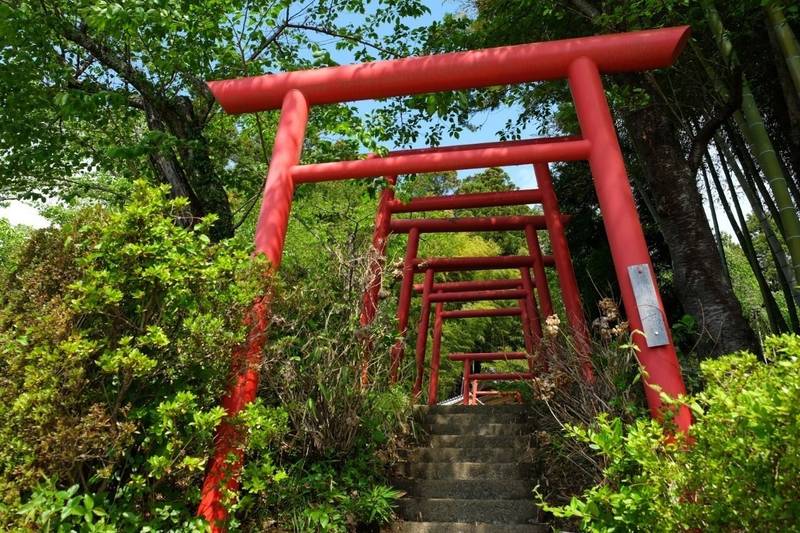 小川諏訪神社 見どころ いわき市 福島県 Omairi おまいり