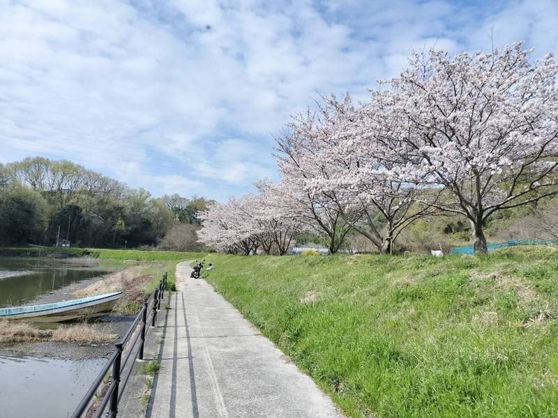 立河神社,岡山県岡山市東区草ヶ部