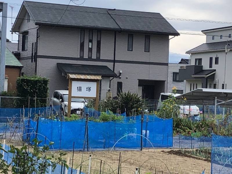 猫塚,静岡県御前崎市御前崎