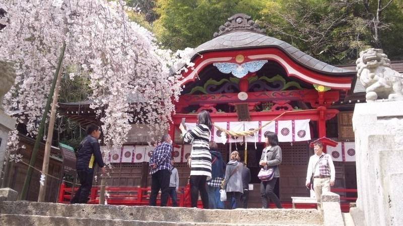 小川諏訪神社 御朱印 いわき市 福島県 Omairi おまいり 小川諏訪神社 御朱印 いわき市 福島県 Omairi おまいり