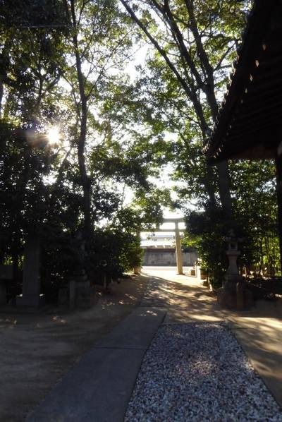 伊予郡松前町の御朱印・神社・お寺 人気ランキング2023