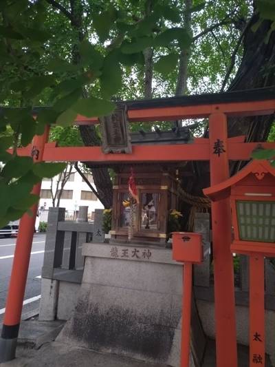龍王大神,見どころ,クリームもみじ