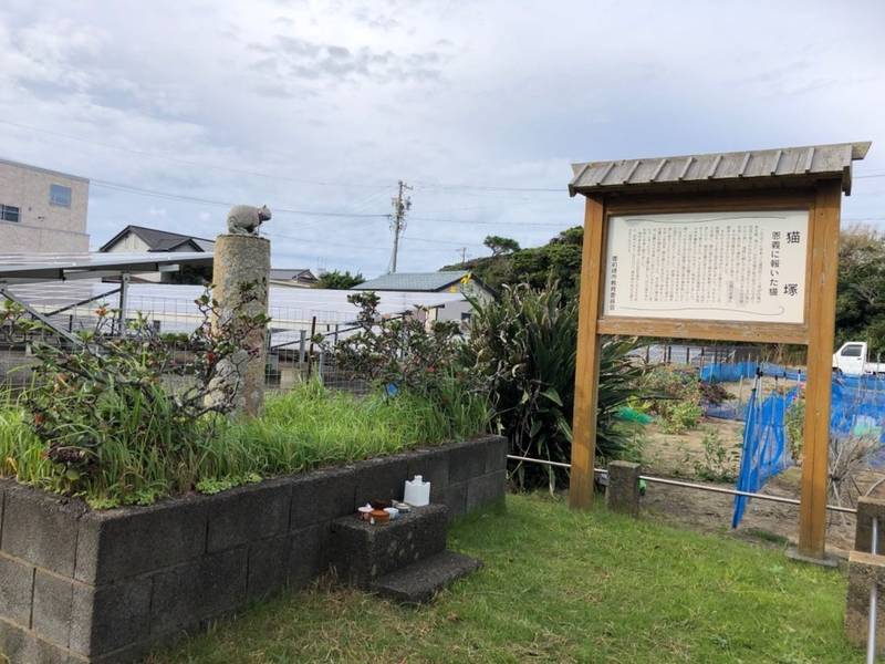 猫塚,静岡県御前崎市御前崎