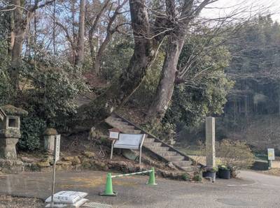 熊野神社    (善師野 字奥洞),見どころ,寿都貞平