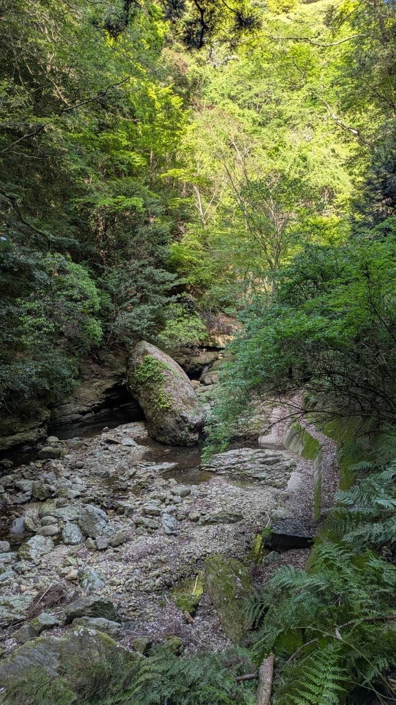 鰐淵寺,島根県出雲市別所町148