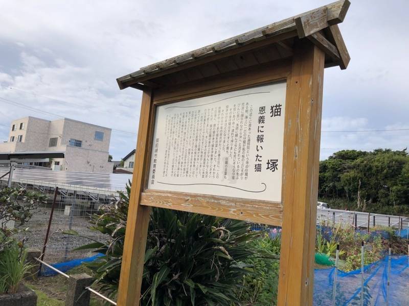 猫塚,静岡県御前崎市御前崎