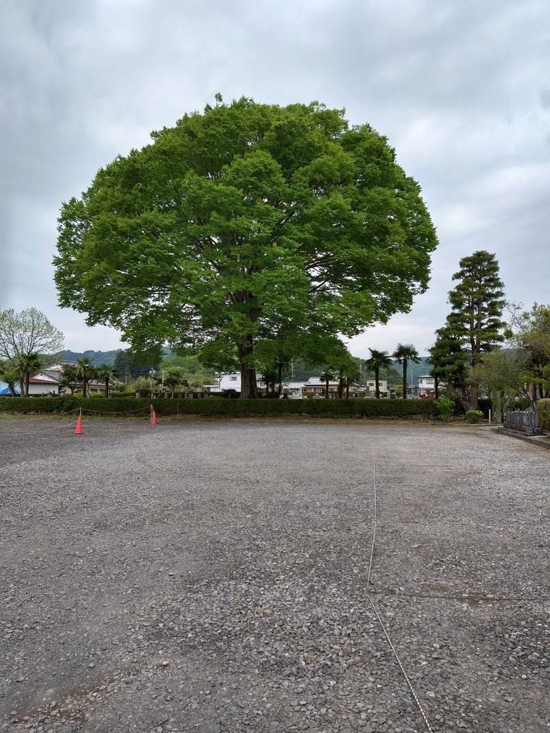 慈眼山 金剛寺,栃木県栃木市皆川城内町1947