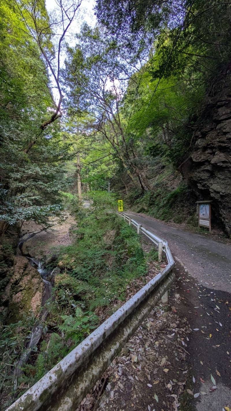 鰐淵寺,島根県出雲市別所町148
