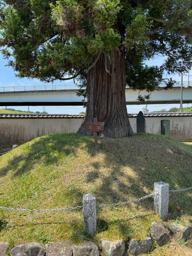 観世寺,福島県二本松市安達ケ原４丁目１２６