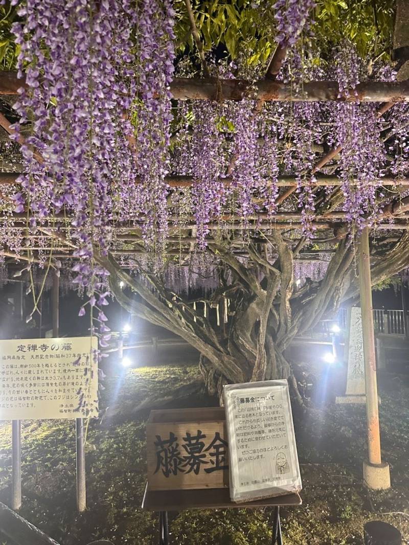 定禅寺,福岡県田川郡福智町弁城3624