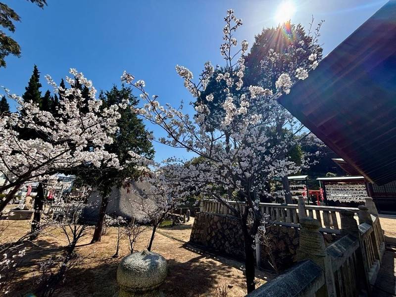 玉比咩神社,岡山県玉野市玉5-1-17