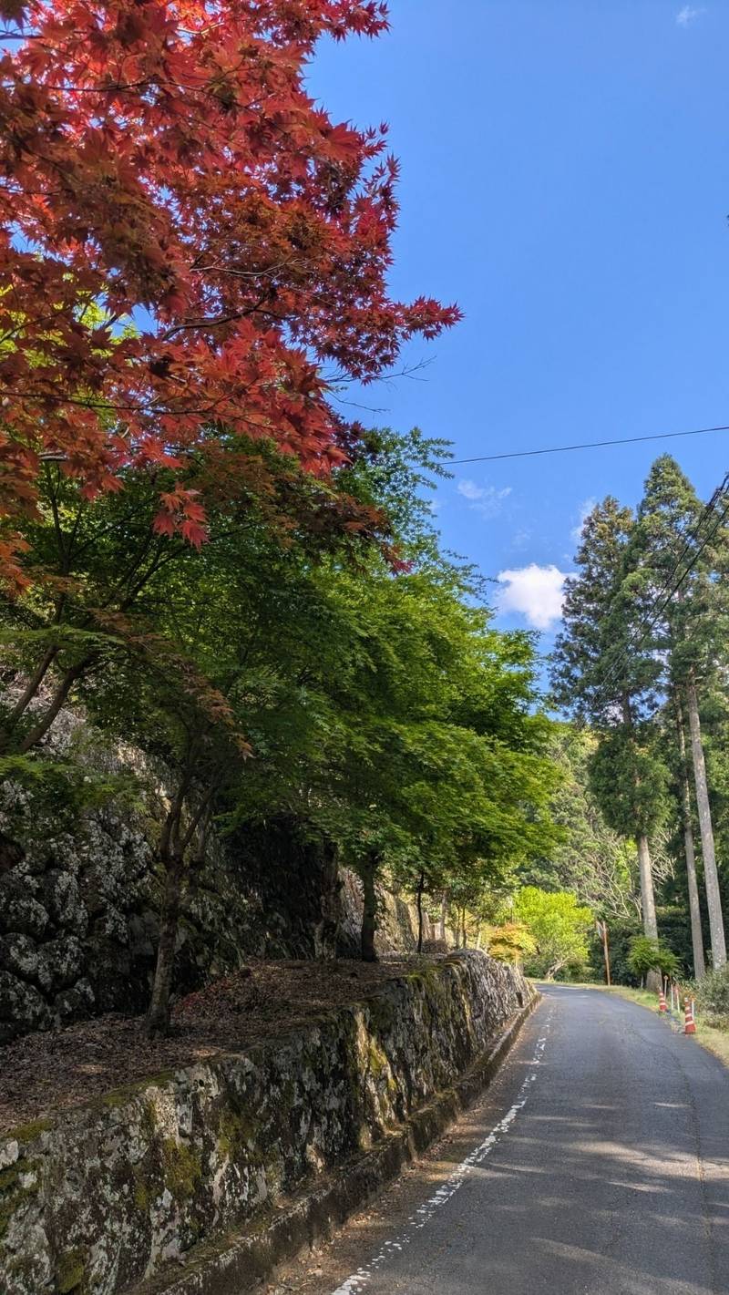 鰐淵寺,島根県出雲市別所町148