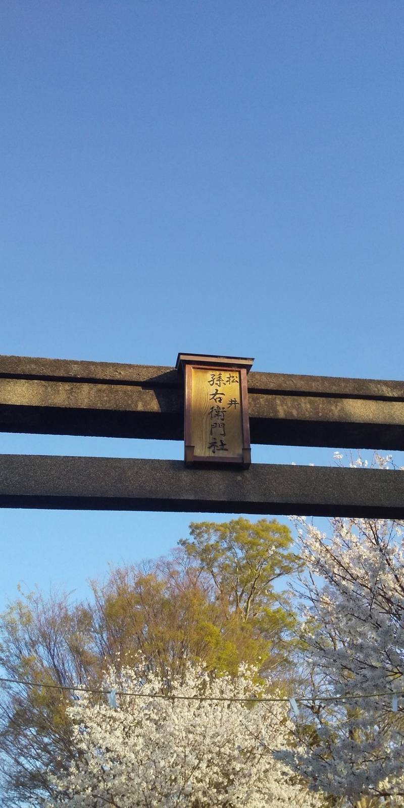 松井孫右衛門社,三重県伊勢市中島２丁目２８
