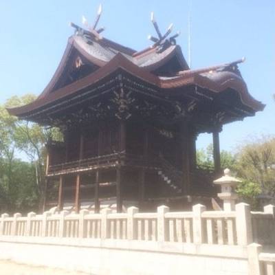 大浦神社,見どころ,Y.Shiraga