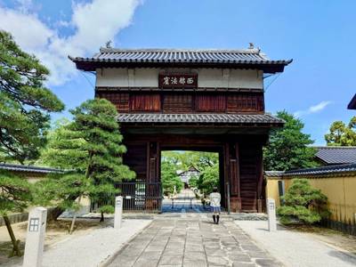 崇福寺,見どころ,平沢凛